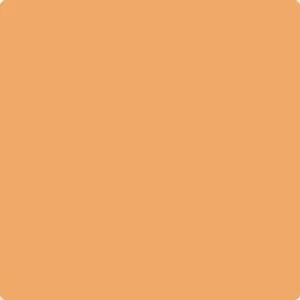 124 Orange Appeal by Benjamin Moore