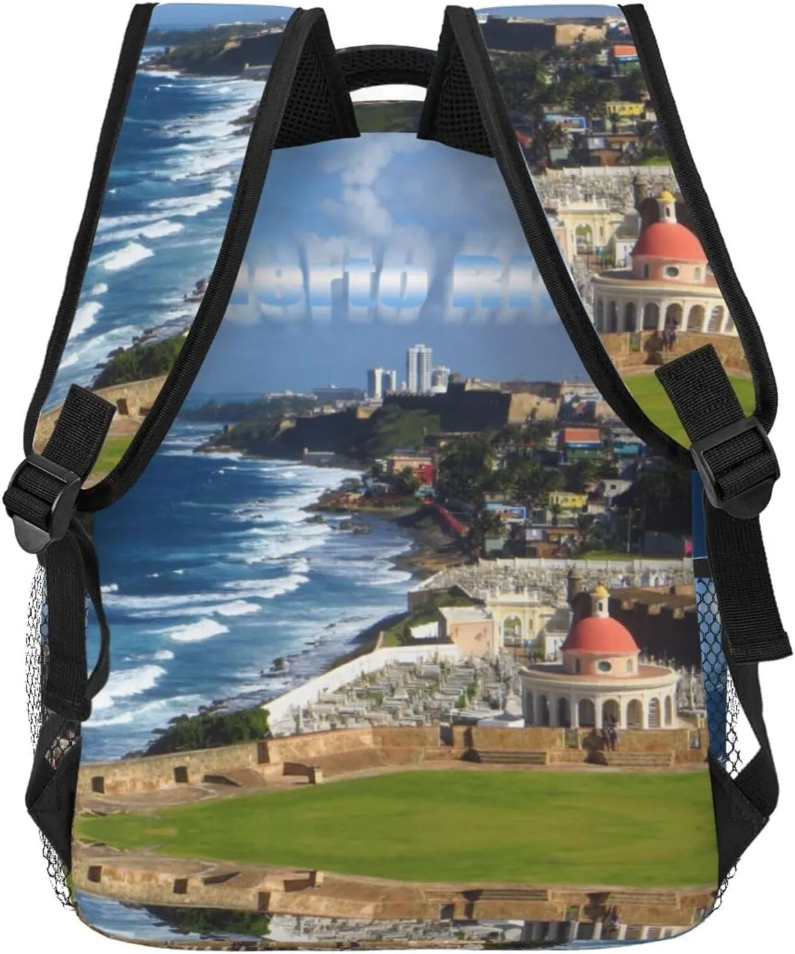 ASYG Puerto Rico Backpack Puerto Laptop Backpack Puerto Rico Flag Tablet Travel Picnic Bag Laptop Bag for Puerto