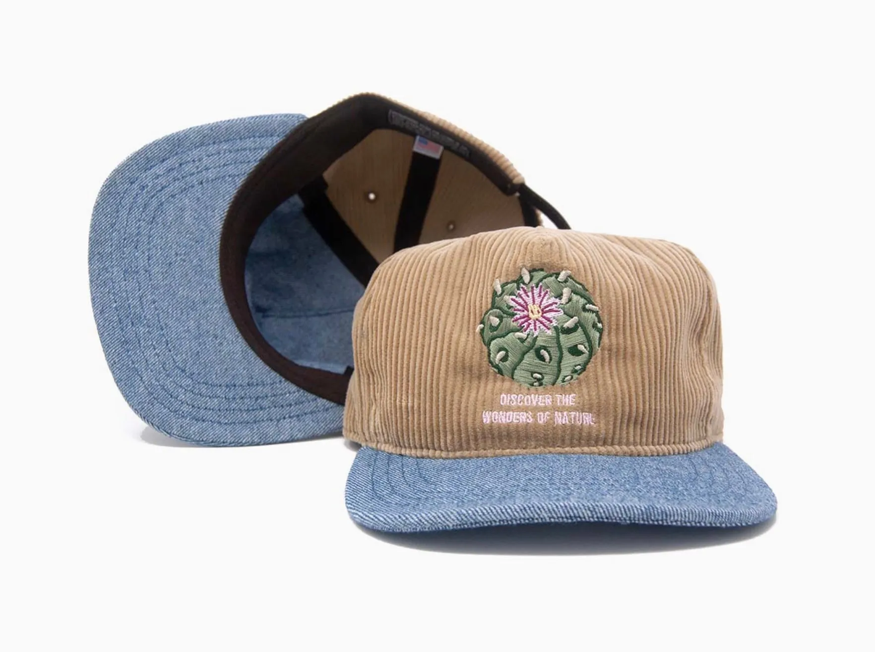 Discover Wonders - Strapback Hat