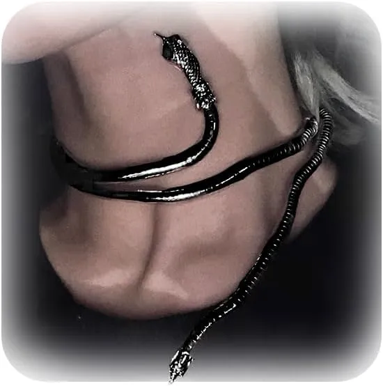 Snake Jewelry for Women Men Goth Punk Flexible Snake Choker Necklace Adjustable Medusa Necklace Hollween Jewelry